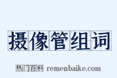 摄像管组词是什么意思的图片